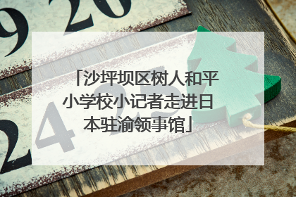 沙坪坝区树人和平小学校小记者走进日本驻渝领事馆