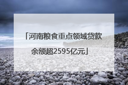 河南粮食重点领域贷款余额超2595亿元