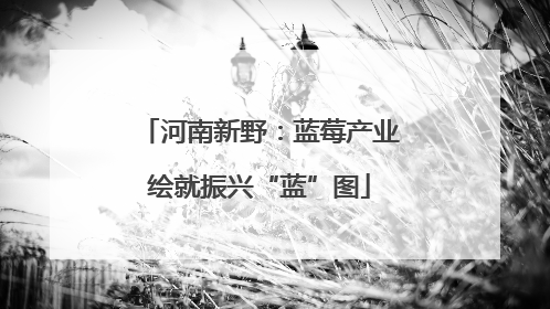 河南新野：蓝莓产业绘就振兴“蓝”图