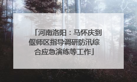 河南洛阳：马怀庆到偃师区指导调研防汛综合应急演练等工作