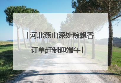 河北燕山深处粽飘香 订单赶制迎端午