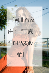 河北石家庄：“三夏”时节麦收忙