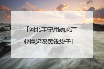 河北丰宁用蔬菜产业撑起农民钱袋子