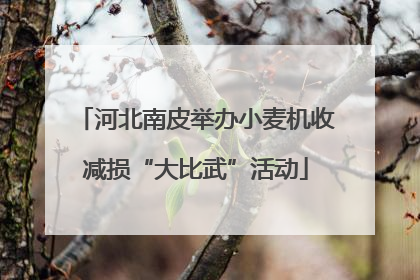 河北南皮举办小麦机收减损“大比武”活动