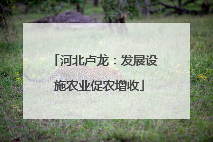 河北卢龙：发展设施农业促农增收