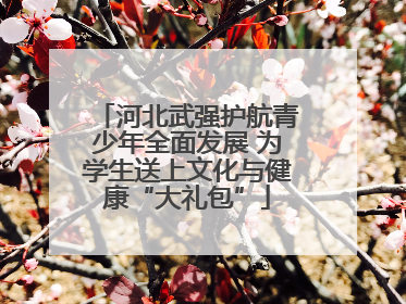 河北武强护航青少年全面发展 为学生送上文化与健康“大礼包”