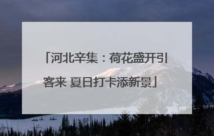 河北辛集：荷花盛开引客来 夏日打卡添新景