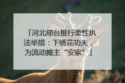 河北邢台推行柔性执法举措：下绣花功夫，为流动摊主“安家”