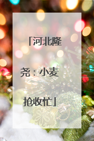 河北隆尧：小麦抢收忙