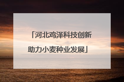 河北鸡泽科技创新助力小麦种业发展