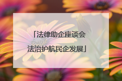 法律助企座谈会 法治护航民企发展