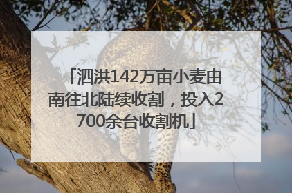 泗洪142万亩小麦由南往北陆续收割，投入2700余台收割机