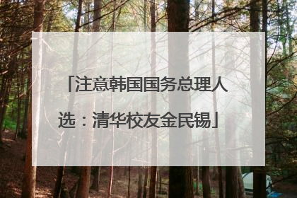 注意韩国国务总理人选：清华校友金民锡
