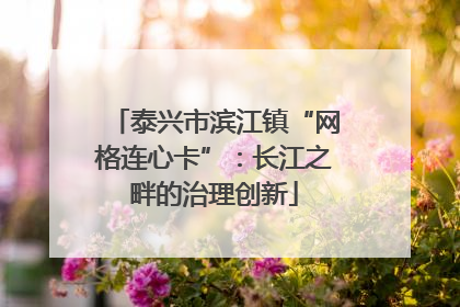 泰兴市滨江镇“网格连心卡”：长江之畔的治理创新