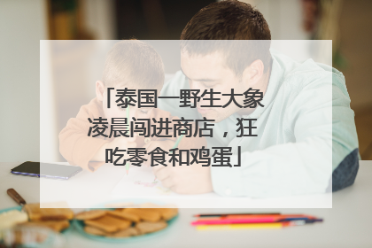 泰国一野生大象凌晨闯进商店，狂吃零食和鸡蛋