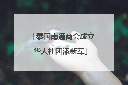 泰国南通商会成立 华人社团添新军