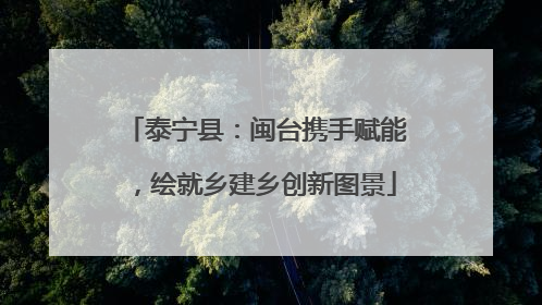 泰宁县：闽台携手赋能，绘就乡建乡创新图景