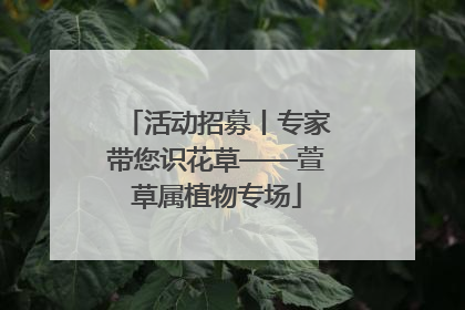 活动招募丨专家带您识花草——萱草属植物专场