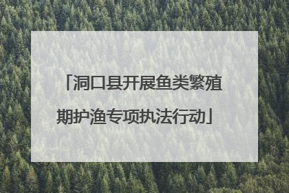 洞口县开展鱼类繁殖期护渔专项执法行动