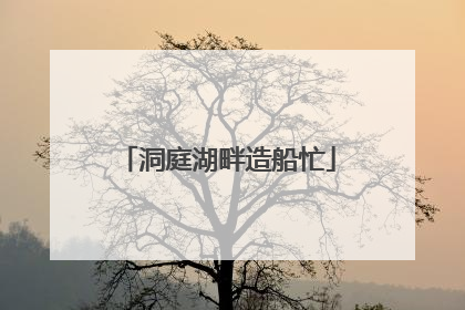 洞庭湖畔造船忙