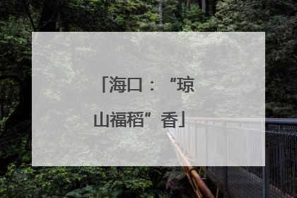 海口：“琼山福稻”香
