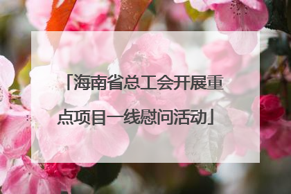 海南省总工会开展重点项目一线慰问活动