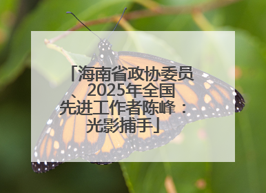 海南省政协委员、2025年全国先进工作者陈峰：光影捕手