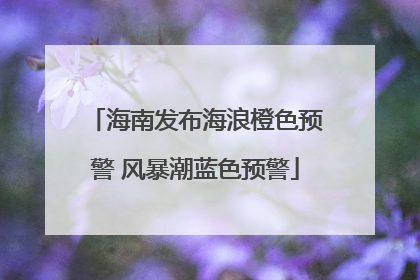 海南发布海浪橙色预警 风暴潮蓝色预警