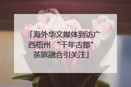 海外华文媒体到访广西梧州 “千年古郡”茶旅融合引关注