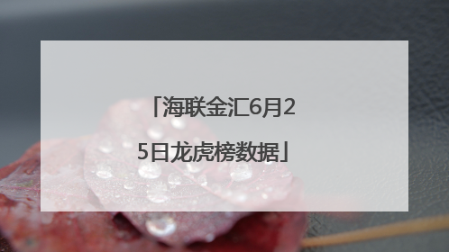 海联金汇6月25日龙虎榜数据