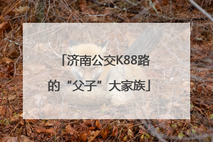 济南公交K88路的“父子”大家族