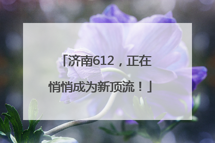 济南612，正在悄悄成为新顶流！