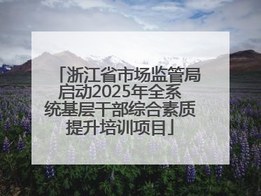 浙江省市场监管局启动2025年全系统基层干部综合素质提升培训项目