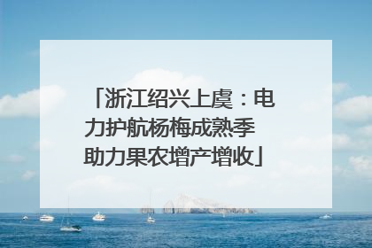 浙江绍兴上虞：电力护航杨梅成熟季 助力果农增产增收