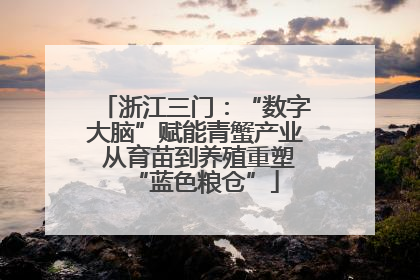浙江三门：“数字大脑”赋能青蟹产业 从育苗到养殖重塑“蓝色粮仓”