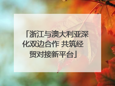 浙江与澳大利亚深化双边合作 共筑经贸对接新平台