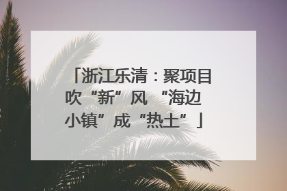 浙江乐清：聚项目吹“新”风 “海边小镇”成“热土”