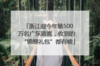浙江迎今年第500万名广东旅客，收到的“锦鲤礼包”都有啥