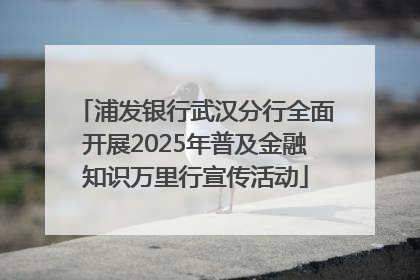 浦发银行武汉分行全面开展2025年普及金融知识万里行宣传活动