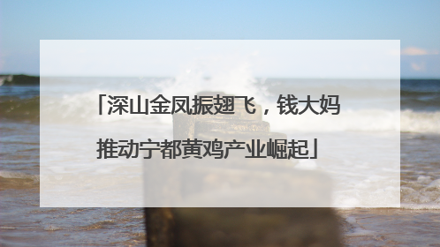 深山金凤振翅飞，钱大妈推动宁都黄鸡产业崛起