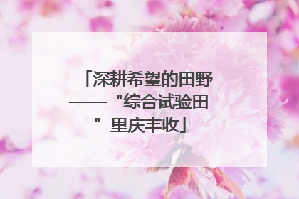 深耕希望的田野——“综合试验田”里庆丰收