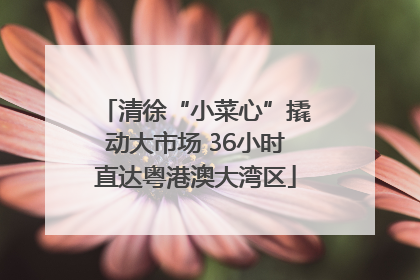 清徐“小菜心”撬动大市场 36小时直达粤港澳大湾区