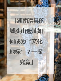 湖南澧县的城头山遗址如何成为“文化地标”？一探究竟