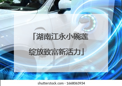 湖南江永小碗莲绽放致富新活力