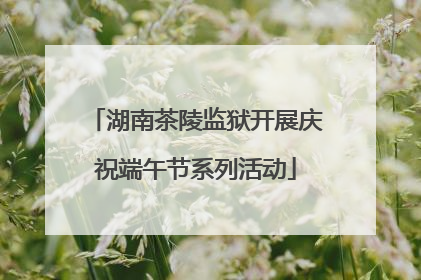 湖南茶陵监狱开展庆祝端午节系列活动