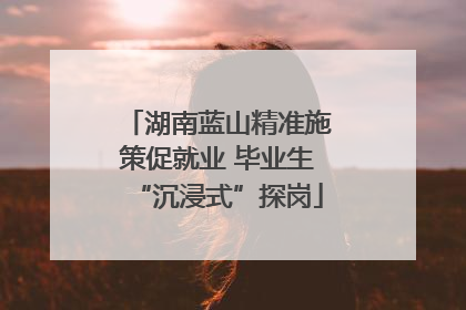 湖南蓝山精准施策促就业 毕业生“沉浸式”探岗