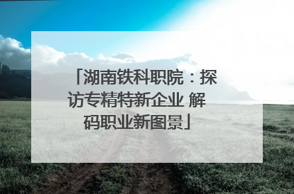 湖南铁科职院：探访专精特新企业 解码职业新图景