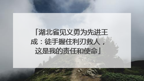 湖北省见义勇为先进王成：徒手握住利刃救人，这是我的责任和使命