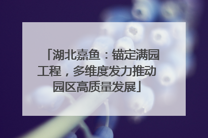 湖北嘉鱼：锚定满园工程，多维度发力推动园区高质量发展