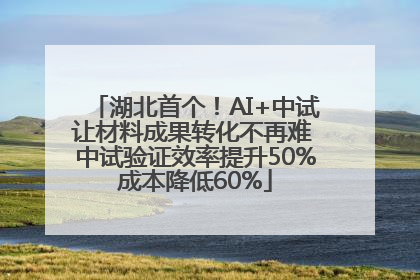 湖北首个！AI+中试让材料成果转化不再难 中试验证效率提升50%成本降低60%